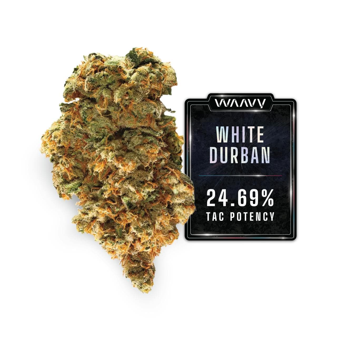 Waavy White Durban