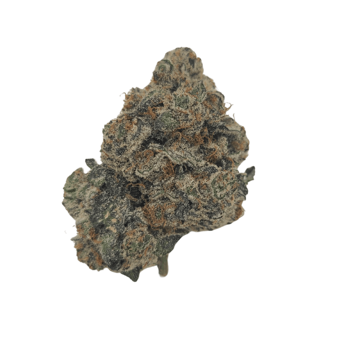 FLWR Pot