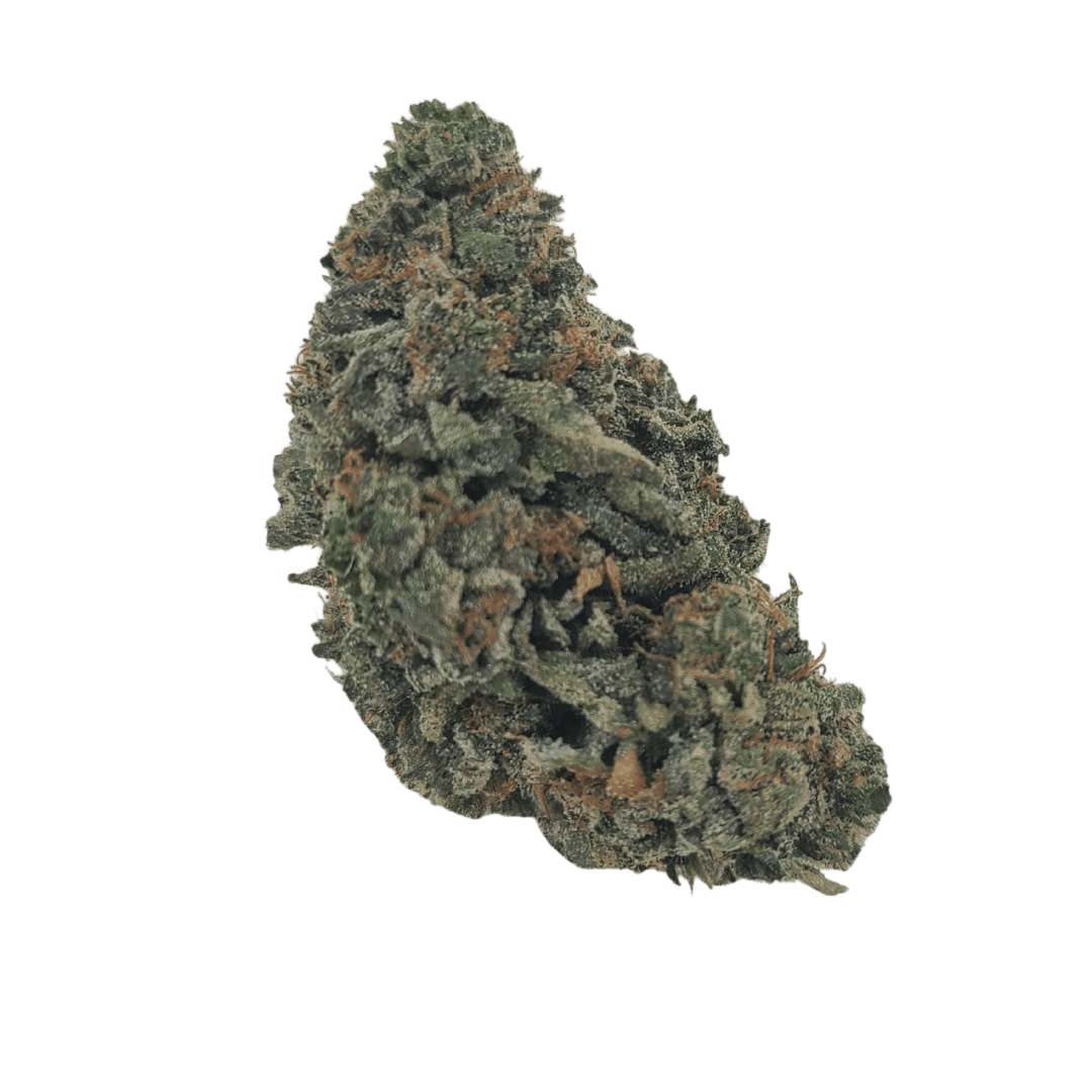 FLWR Pot
