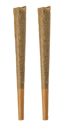 BOLD GLAZED Indica Pre-Roll - 2X1G