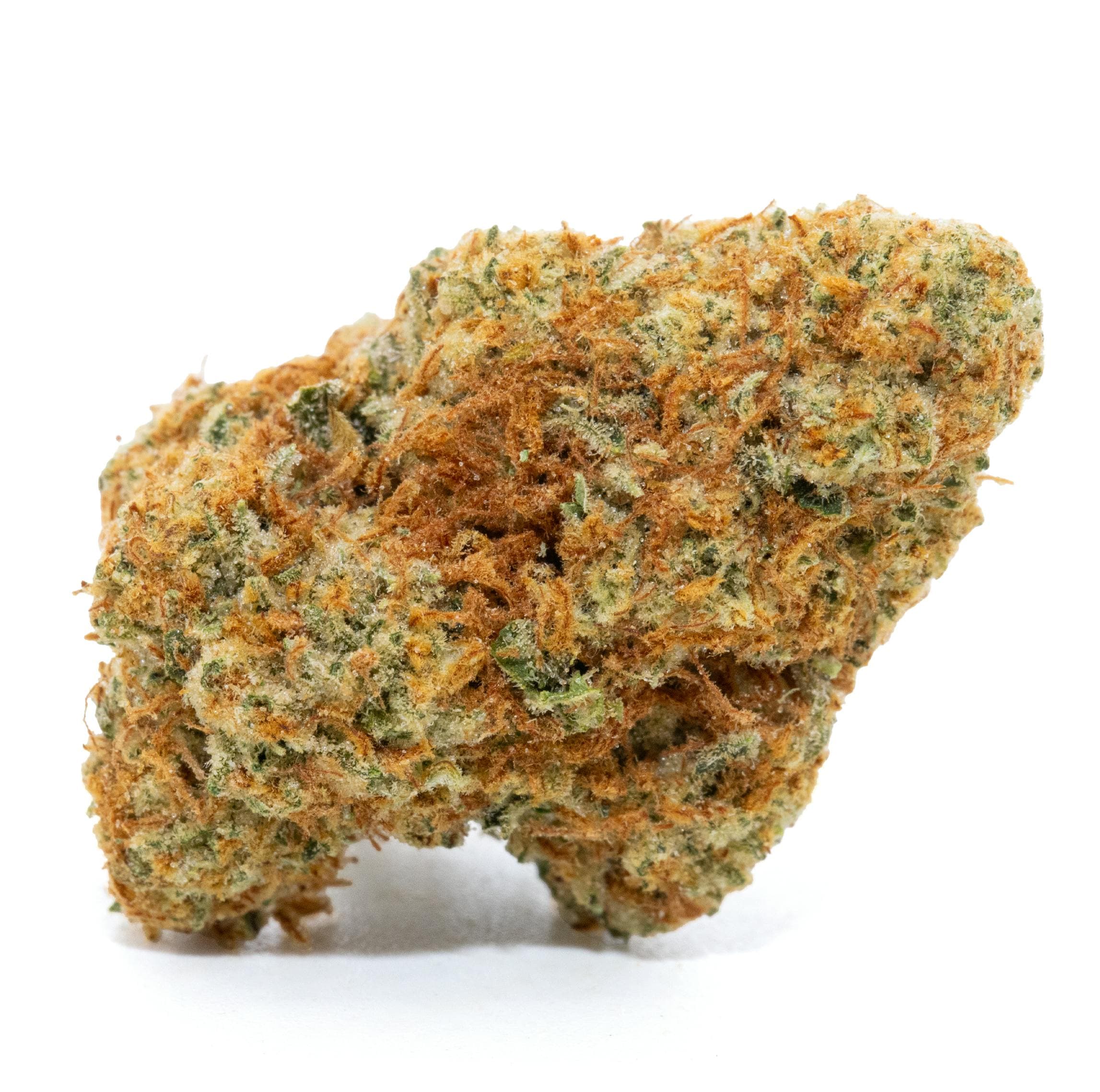 GLP