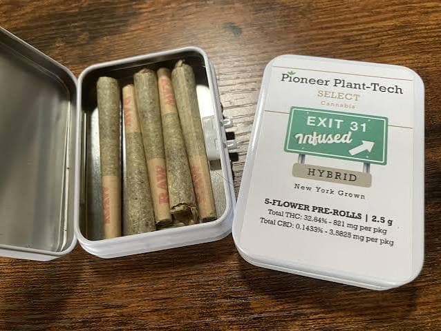 Pioneer Plant-Tech