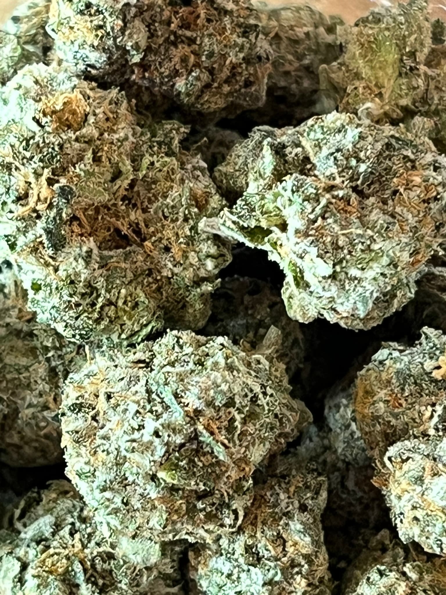 Black Mountain Sweet Tooth