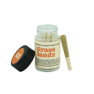 Grasslandz