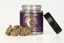 Moon Valley GRAPE GAS GUMMIEZ | FLOWER | 3.5G