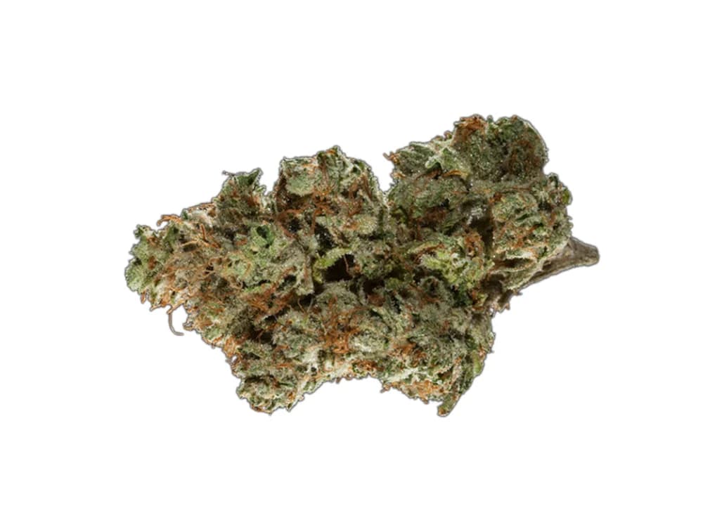 Shore Natural RX