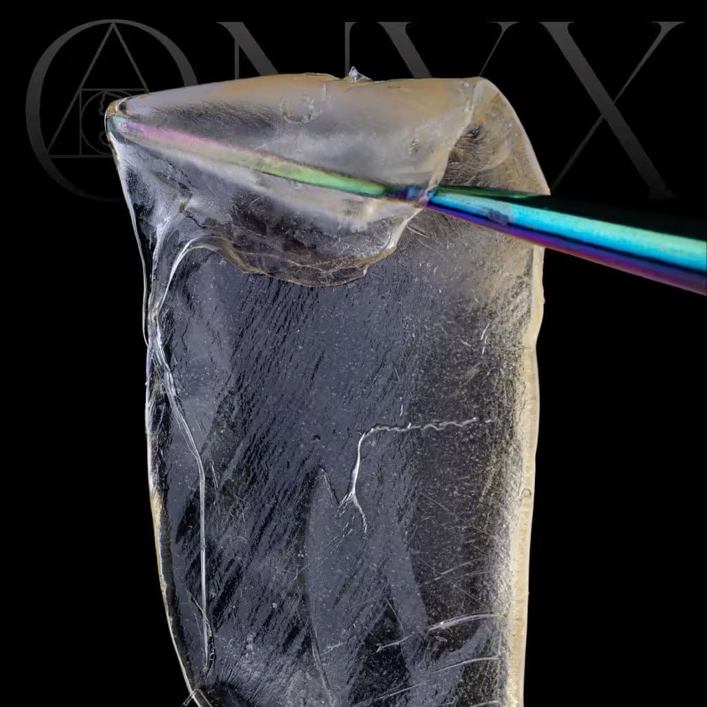 ONYX Garlic Face-Off x OGKB