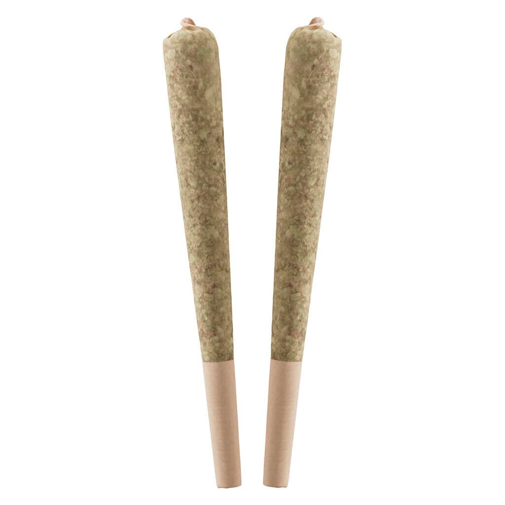 STANDARD ISSUE