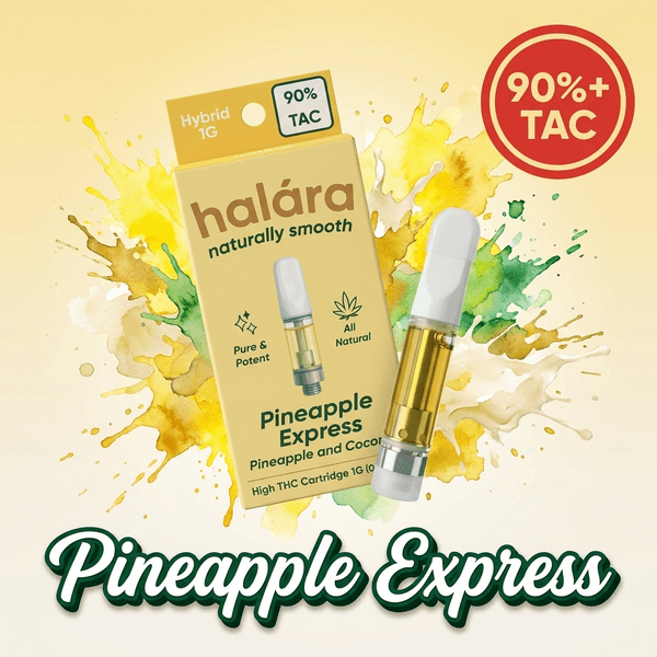 Halara Pineapple Express 510 | 1g Cart