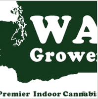 WA Grower GG #4 0.5g X 2 Preroll WA Grower