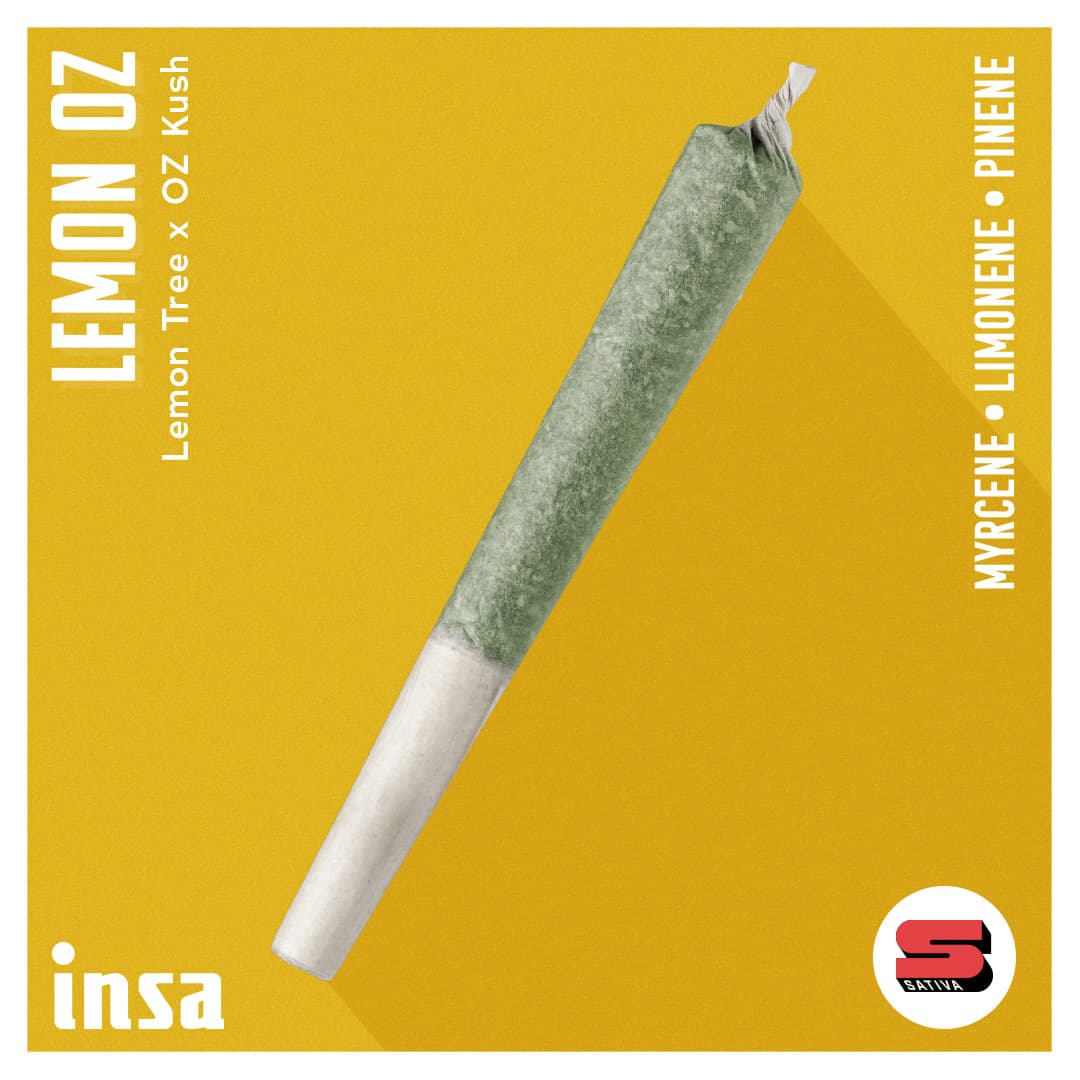 Insa Premium Pre-Roll - Lemon OZ