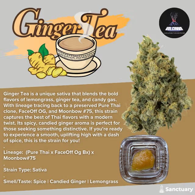 Volcanna Ginger Tea Sauce