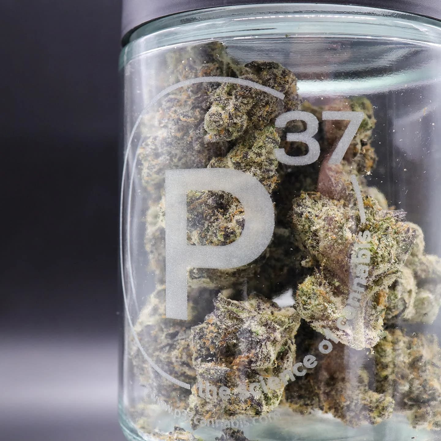 Prohibition 37 Flower