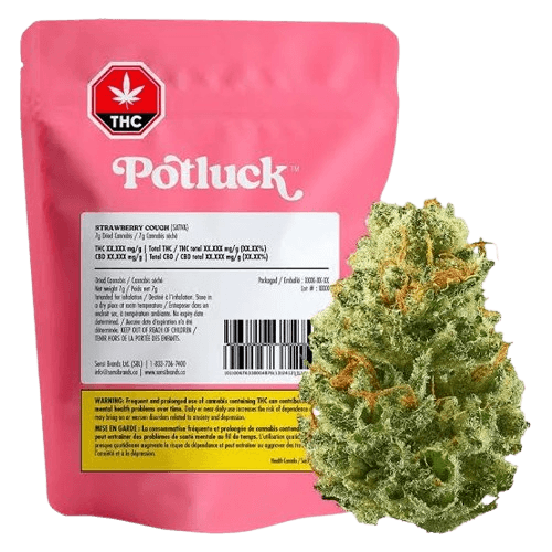 Potluck