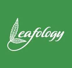 Leafology Vape | Lemandarin Haze | Cartridge | 1g