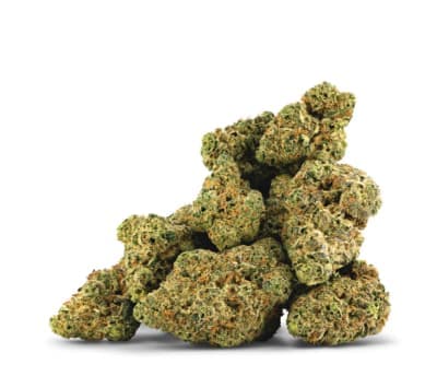 Good & Baked TYSON OG - Good & Baked - TYSON OG - 14