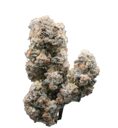 Victoria Cannabis Company
