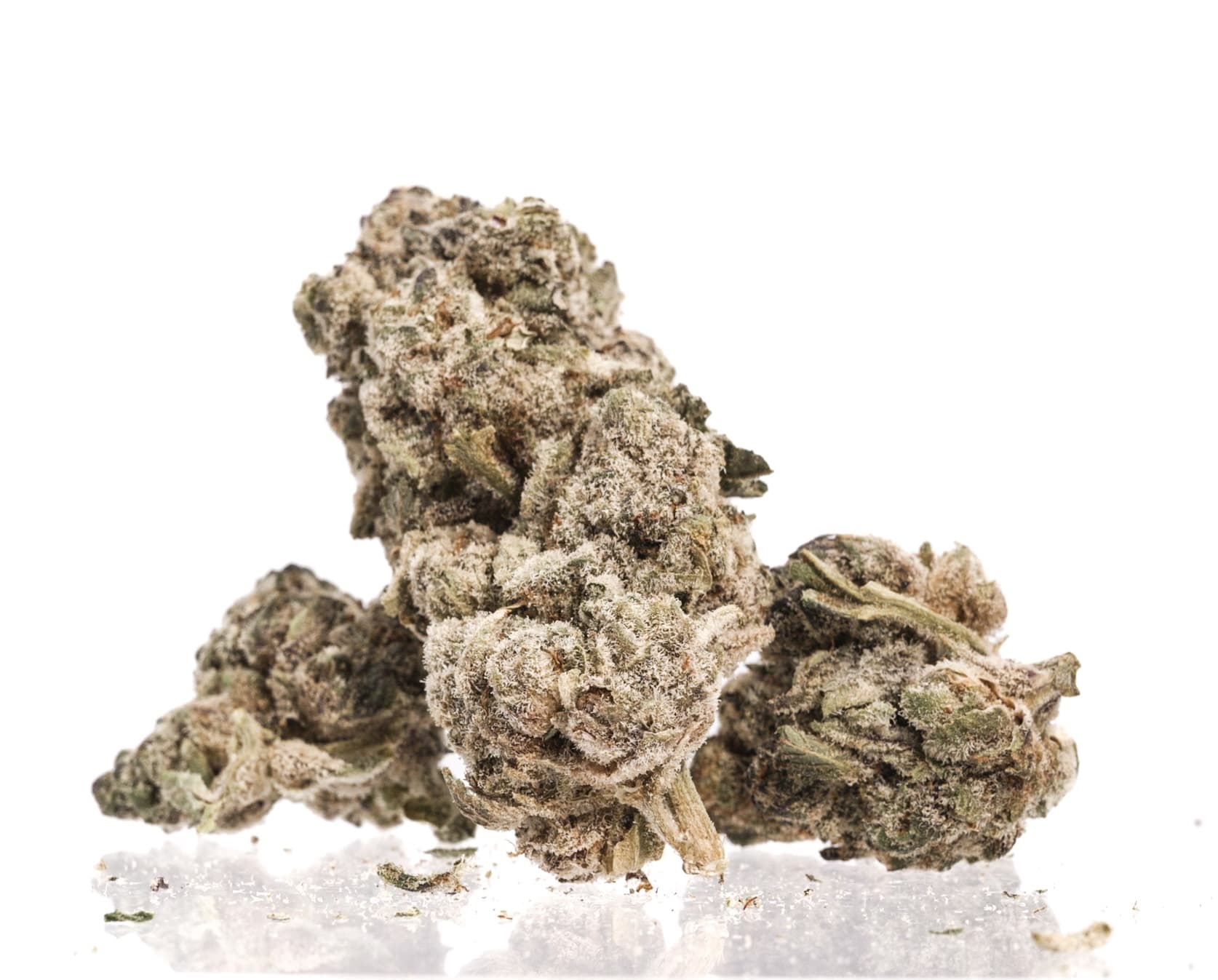 Big Sioux Bud Big Sioux Buds - Deep Space Bulk Flower