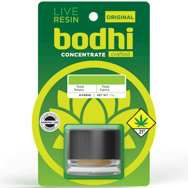 Bodhi High