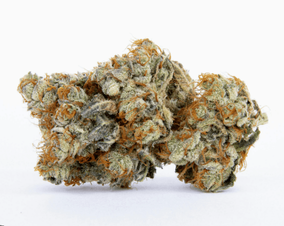 Suncrafted Lemon Pastry | 3.5g