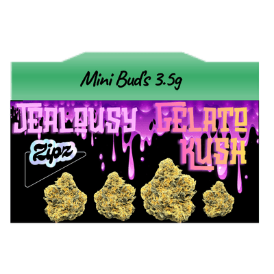 Zipz Jealousy Gelato Kush Mini Buds | 3.5g - Zipz