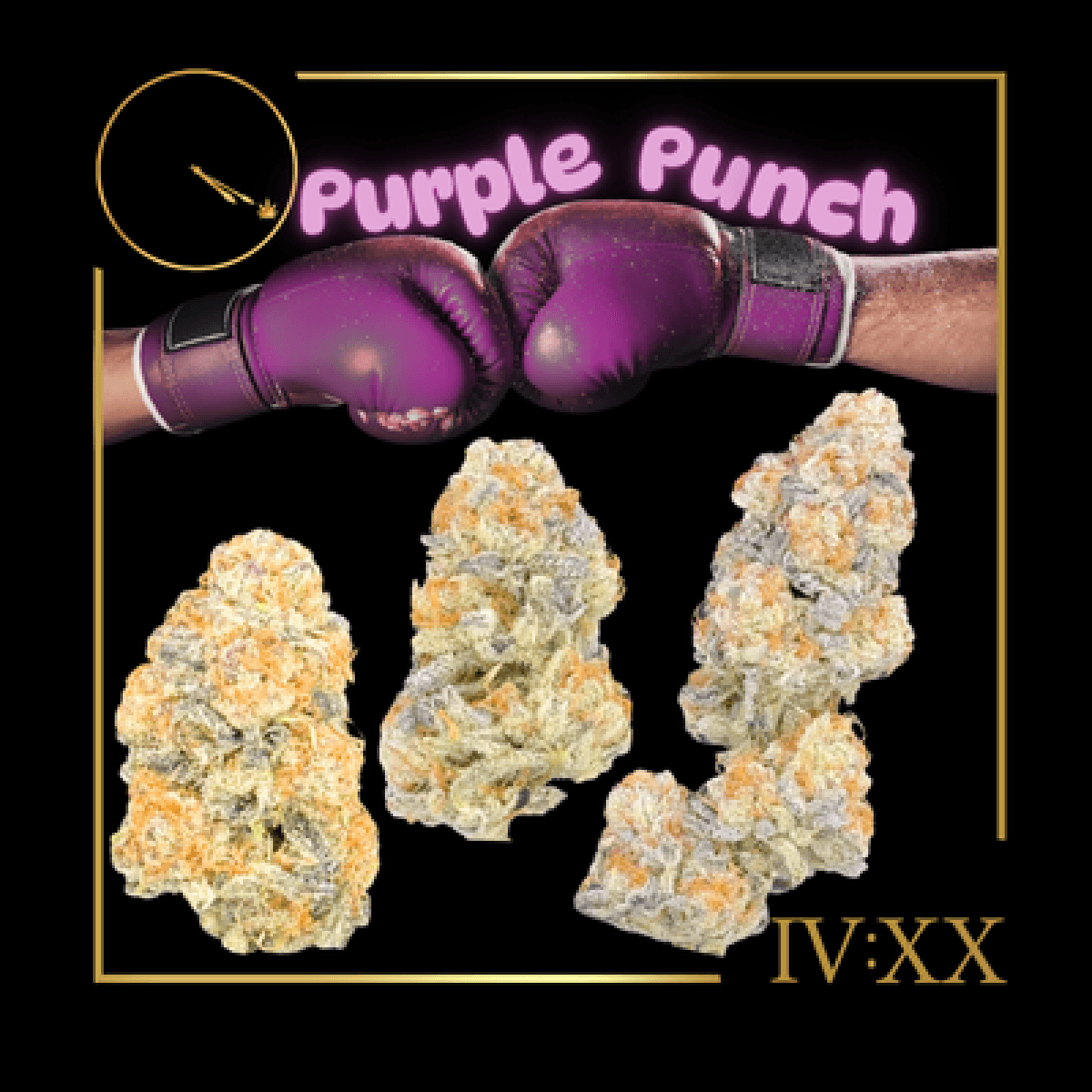 Zipz Purple Punch Flower | 3.5g - Zipz