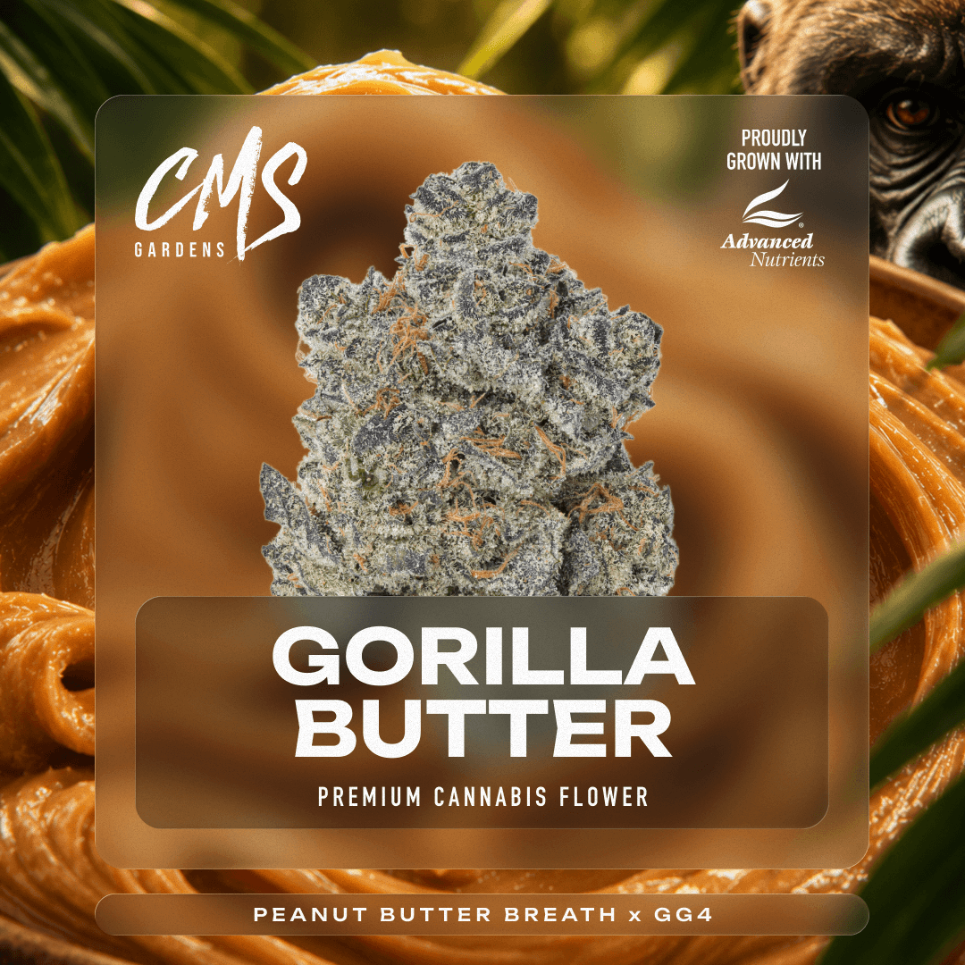 CMS Gardens Gorilla Butter | 3.5g
