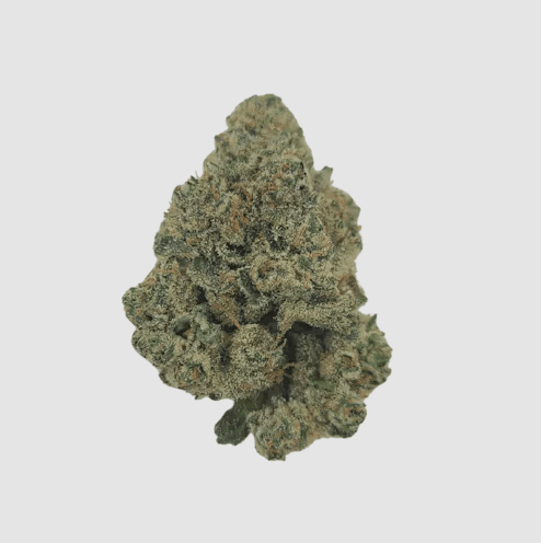 FLWR Pot Dark Rainbow