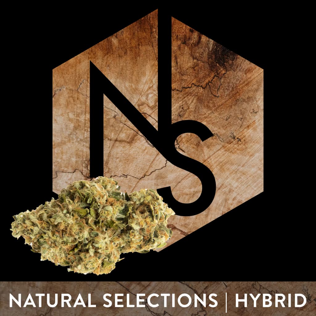 Natural Selections Cranberry Z