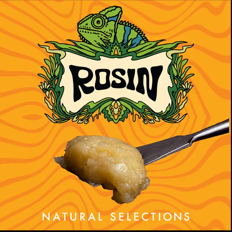 Natural Selections Fish Food