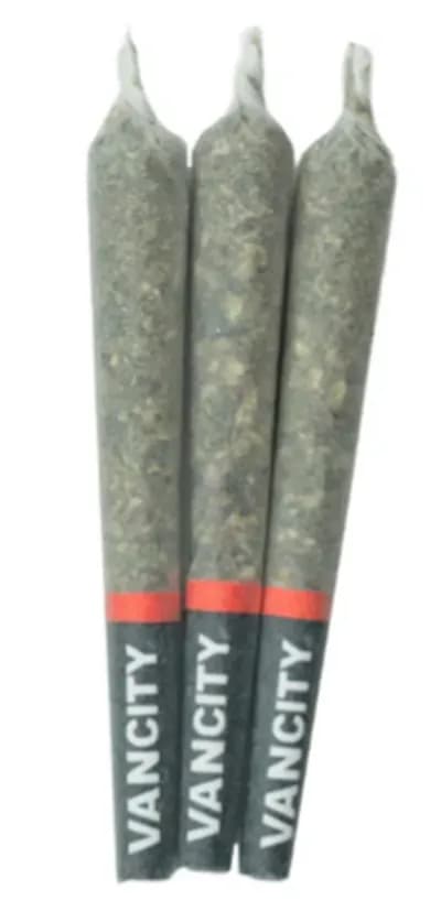 Vancity® Cannabis Reserve Indica Pre-Rolls by Vancity Cannabis - Reserve Indica Pre-Rolls - 3x0.5g
