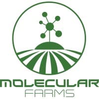 Molecular Farms Classic Trainwreck (Molecular Farms)