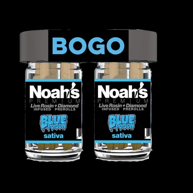 Noah's Premium