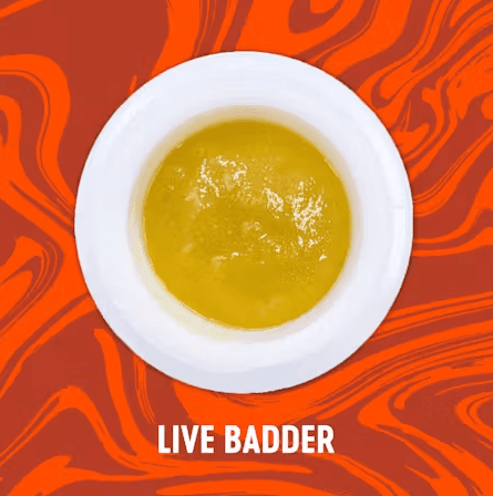 Vivid 8" Bagel Live Badder (1.1g)