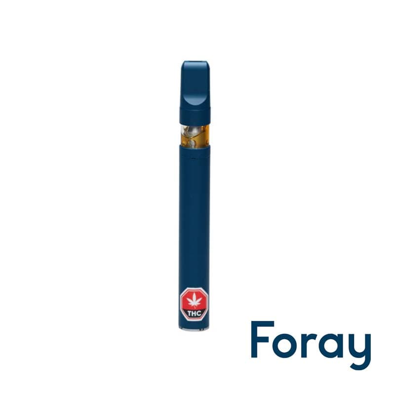Foray Blackberry Cream Indica Disposable Pen | 0.3g