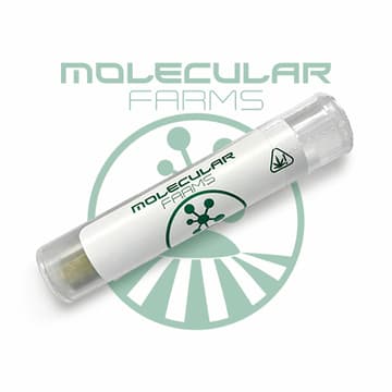 Molecular Farms PreRoll: Clementine