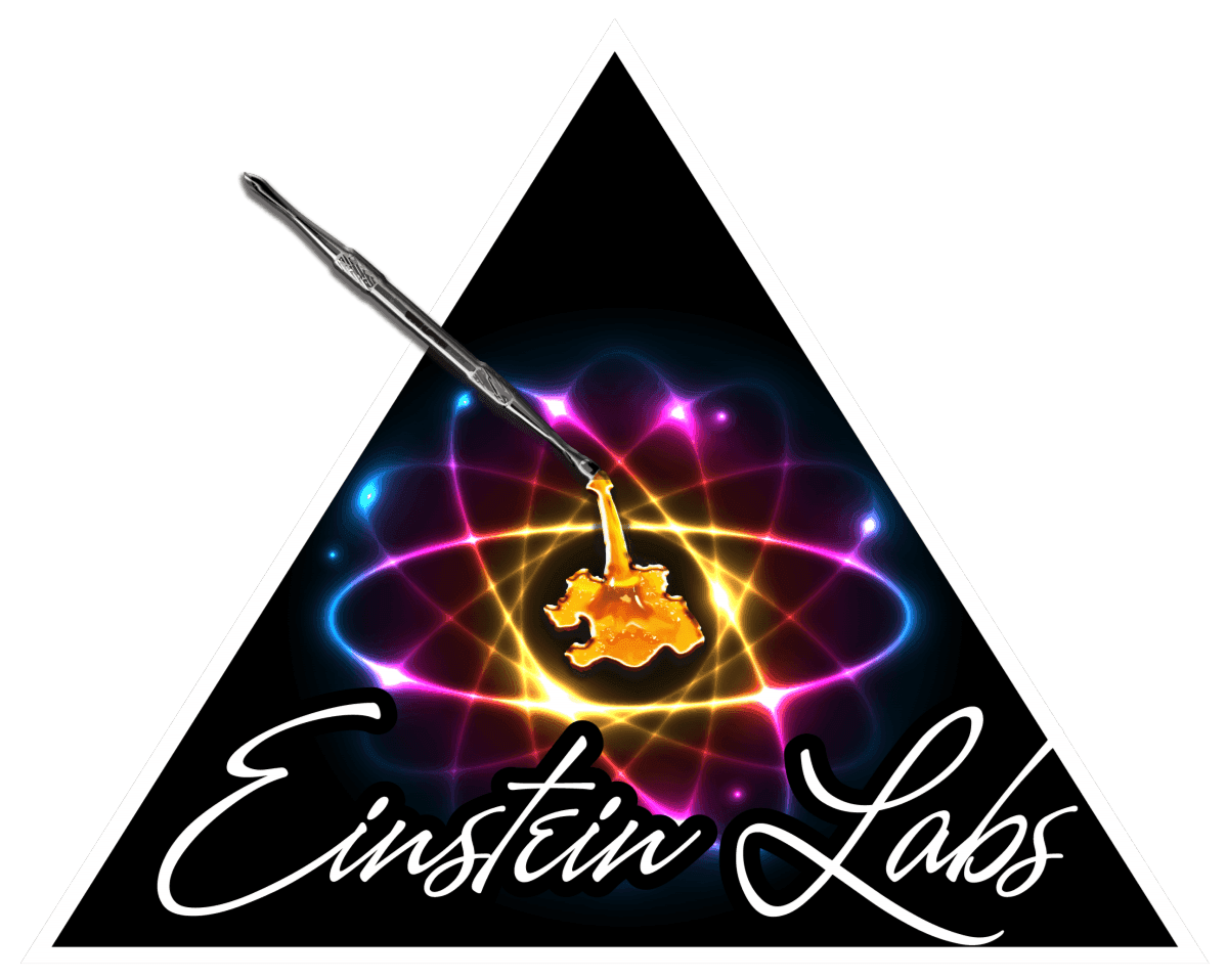 Einstein Labs