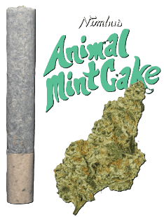 Nimbus Animal Mint Cake Pre Roll (1g)