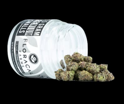FloraCal Farms