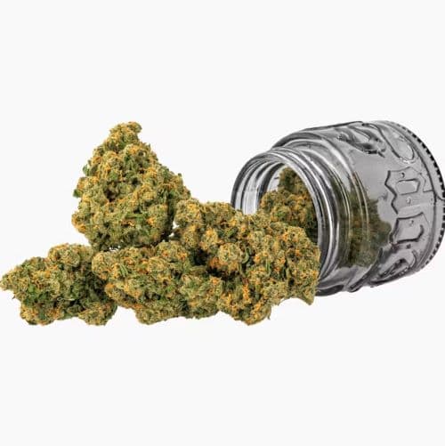 Top Shelf Cultivation