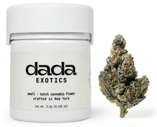 Dada Exotics | Warheadz