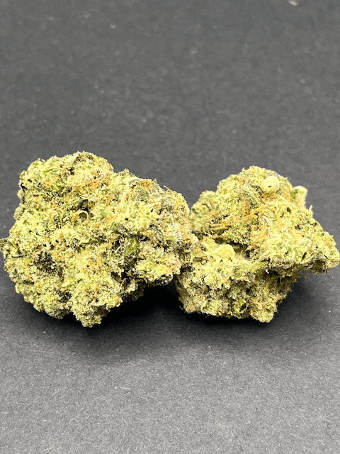 Wicked Kind Gold Mintz