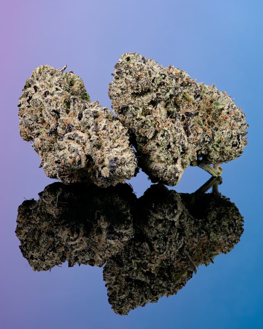 C-Bite C-Bite Black Cherry Gelato Flower 3.5g