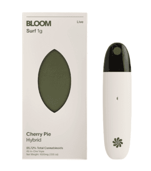 BLOOM Surf Live CHERRY PIE | AIO