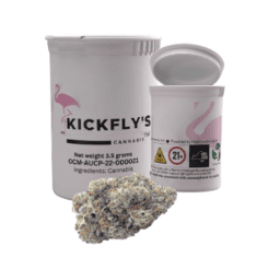 Kickfly's