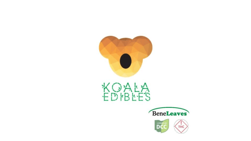 Koala Edibles Smores Chocolate Bar (100mg)