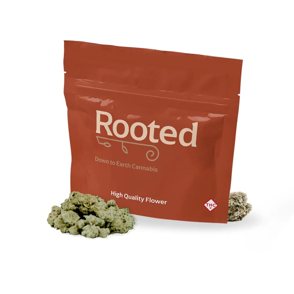 Rooted Gelato Ice Cream