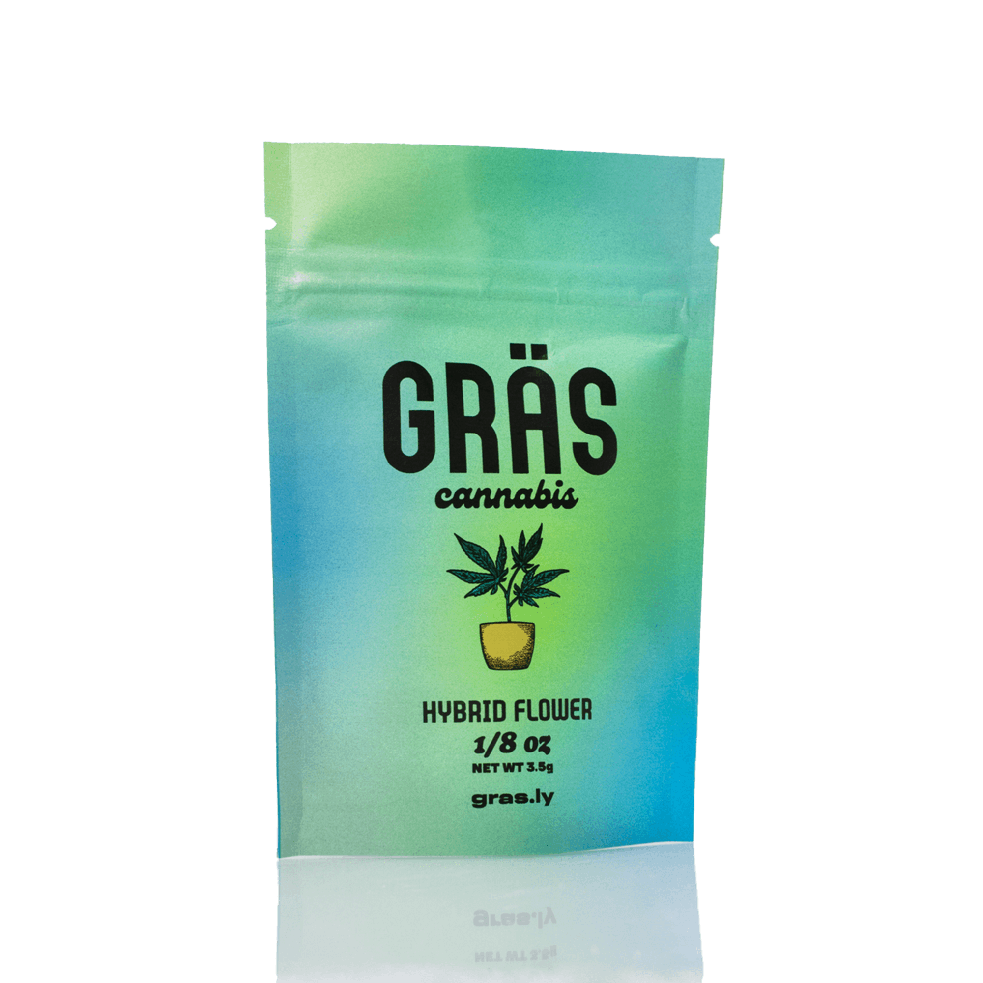 Gräs Cannabis