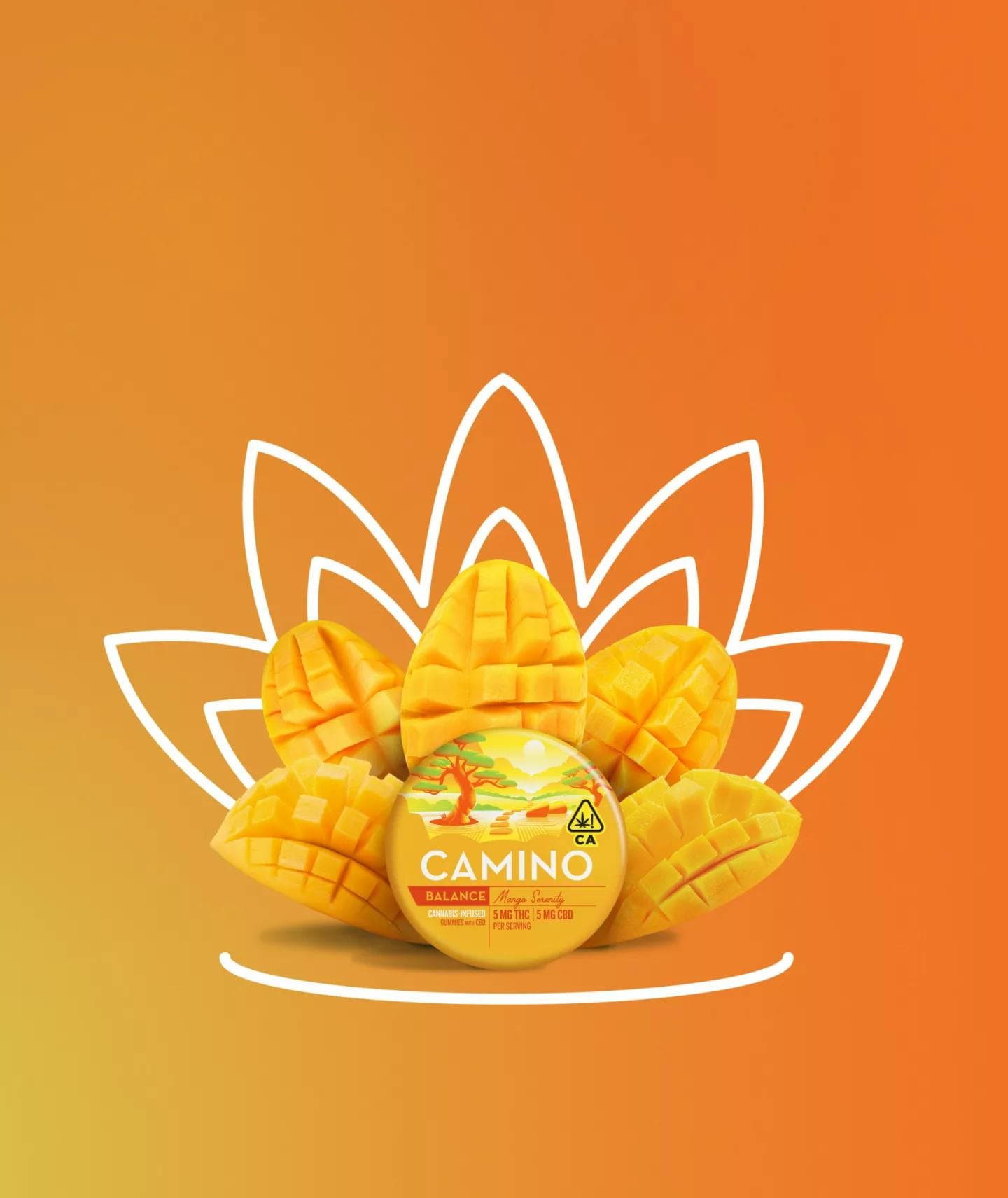 Camino Camino 1:1 'Balance' Mango Serenity Gummies [20pk]