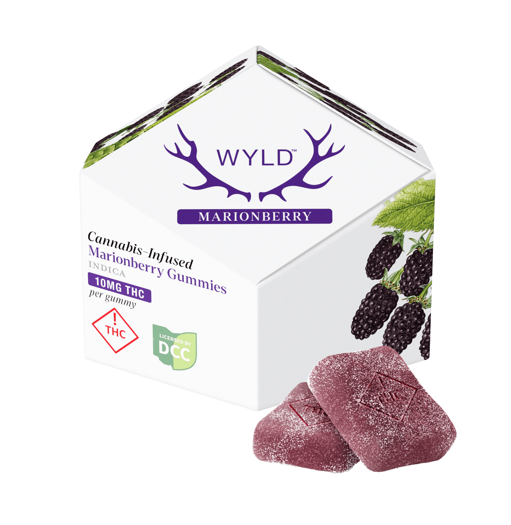Wyld Marionberry | 10 x 10mg